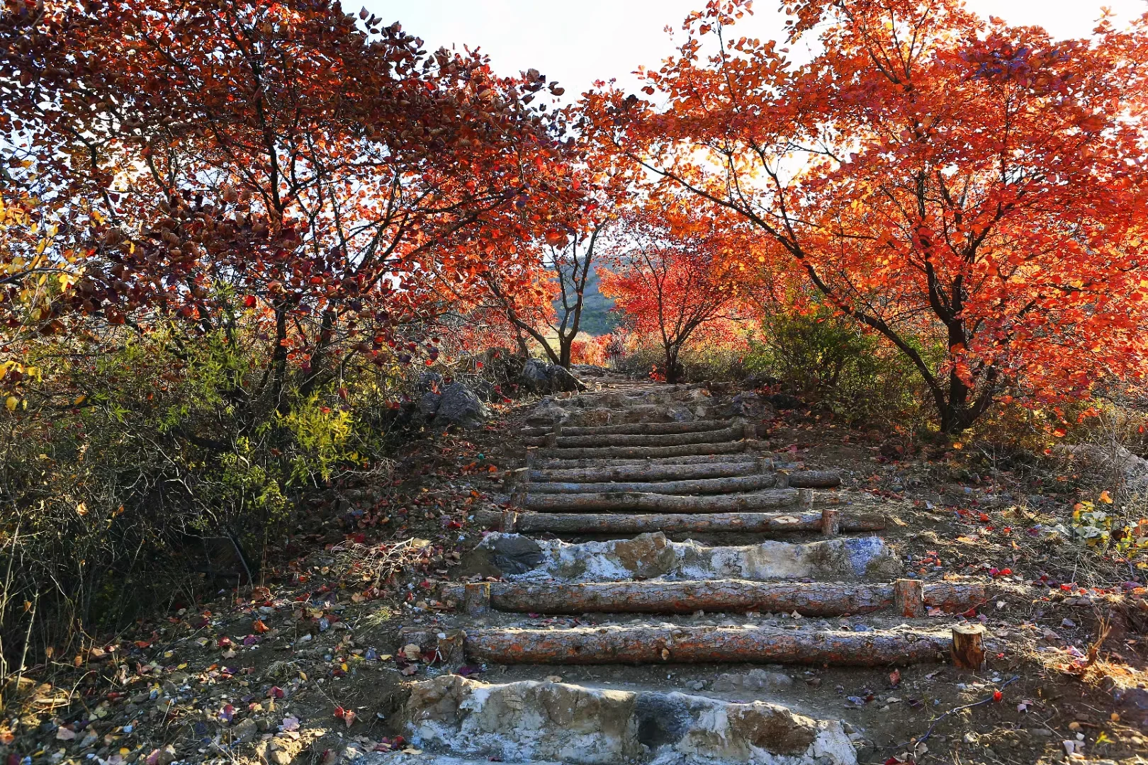 京郊周边游,这15个地方放心冲