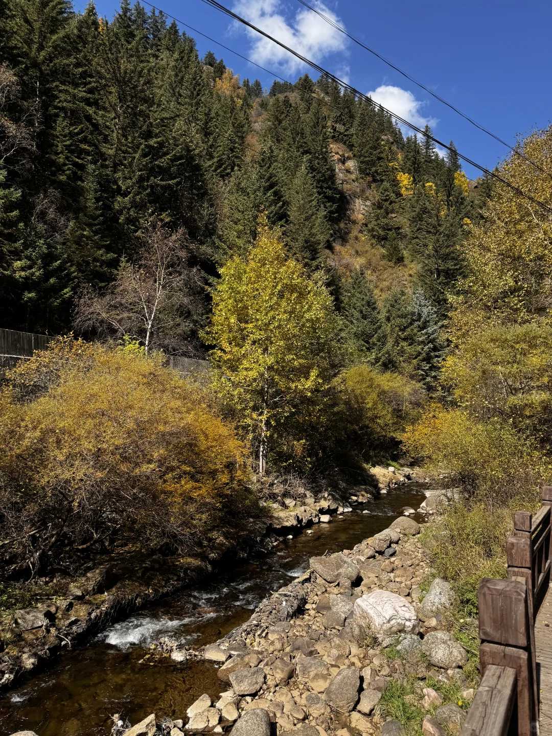 你可以永远相信芦芽山的秋日森林