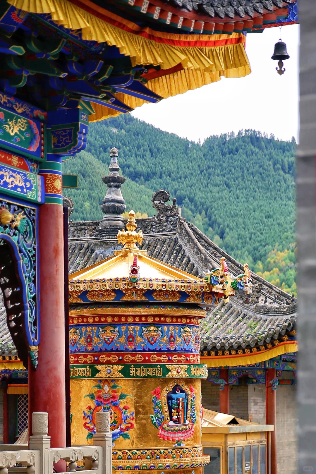 山西你真的让我祛魅不了一点…