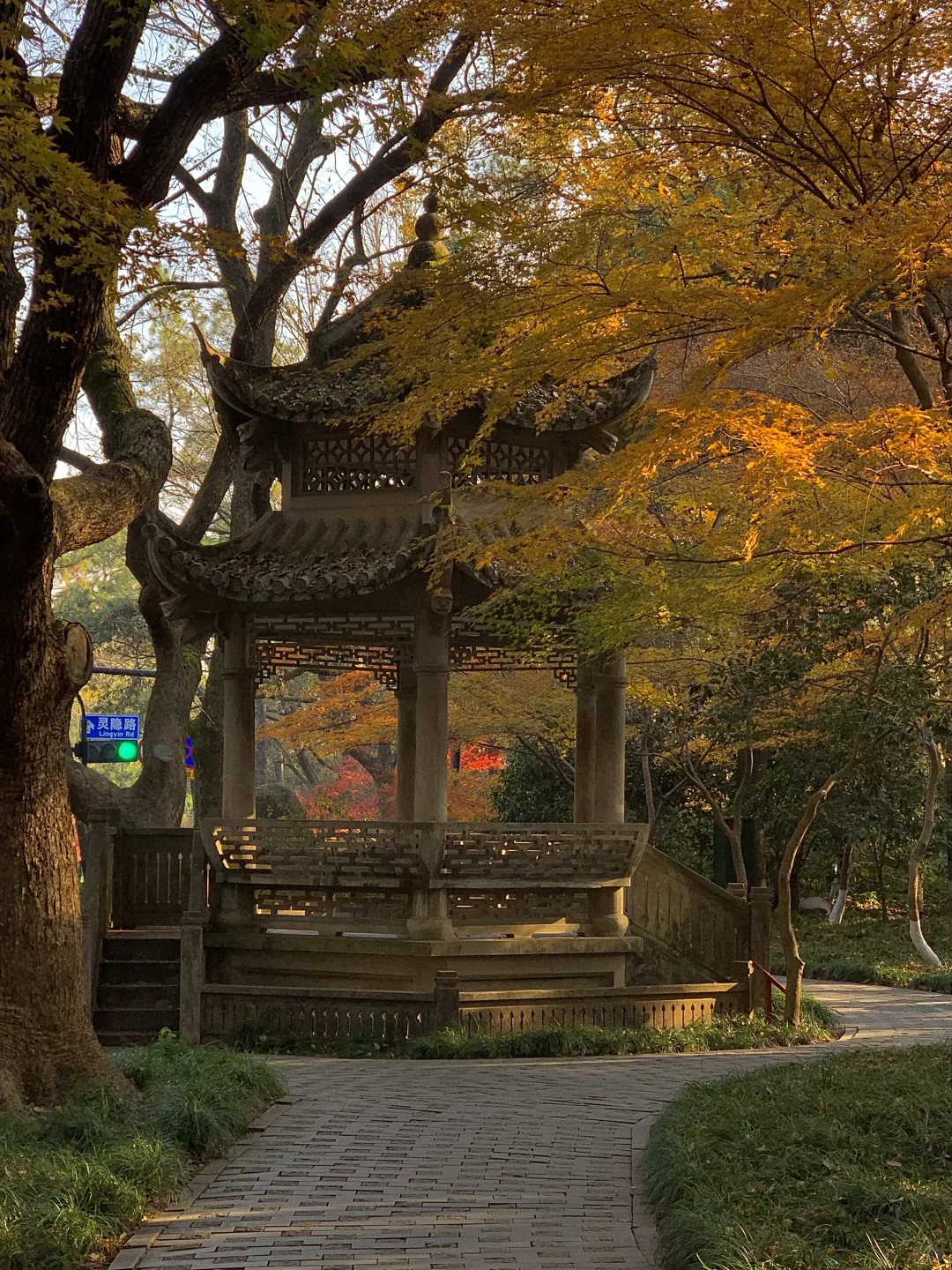 接下来的杭州…堪称秋日旅行天花板！（live版