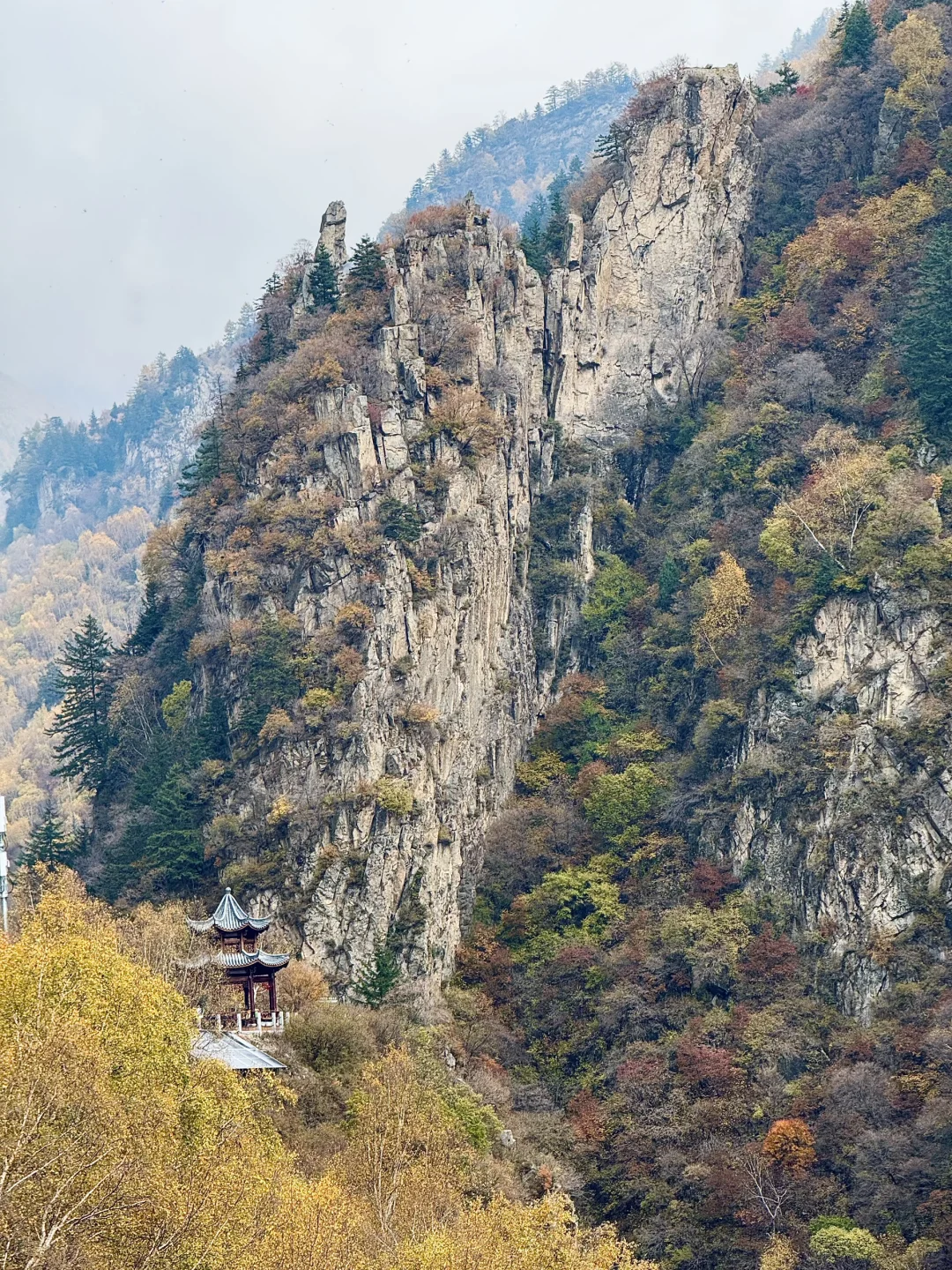 京津自驾4h｜辉川赏秋 人不多 叶子还在🍂