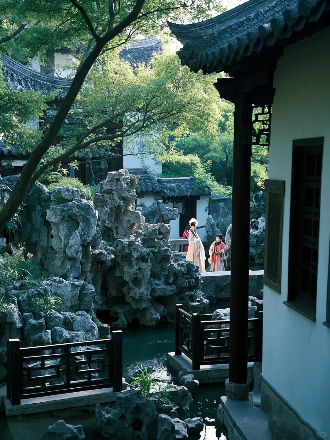 🌳走进狮子林，探江南园林之妙