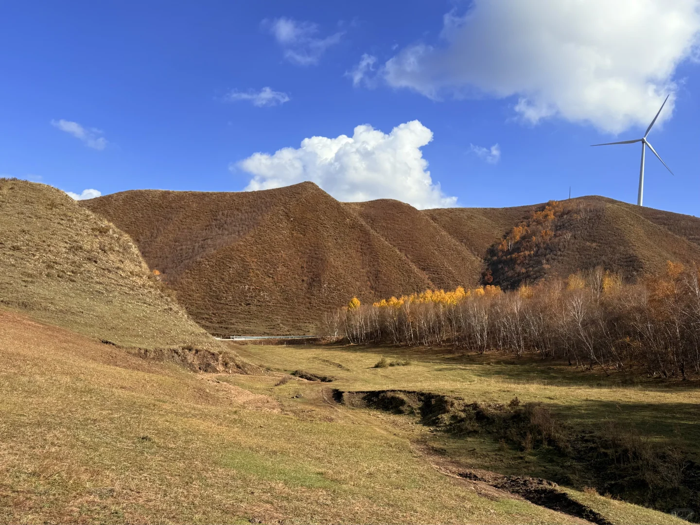 🍂 环京秋日自驾天花板！去奔赴一场秋景