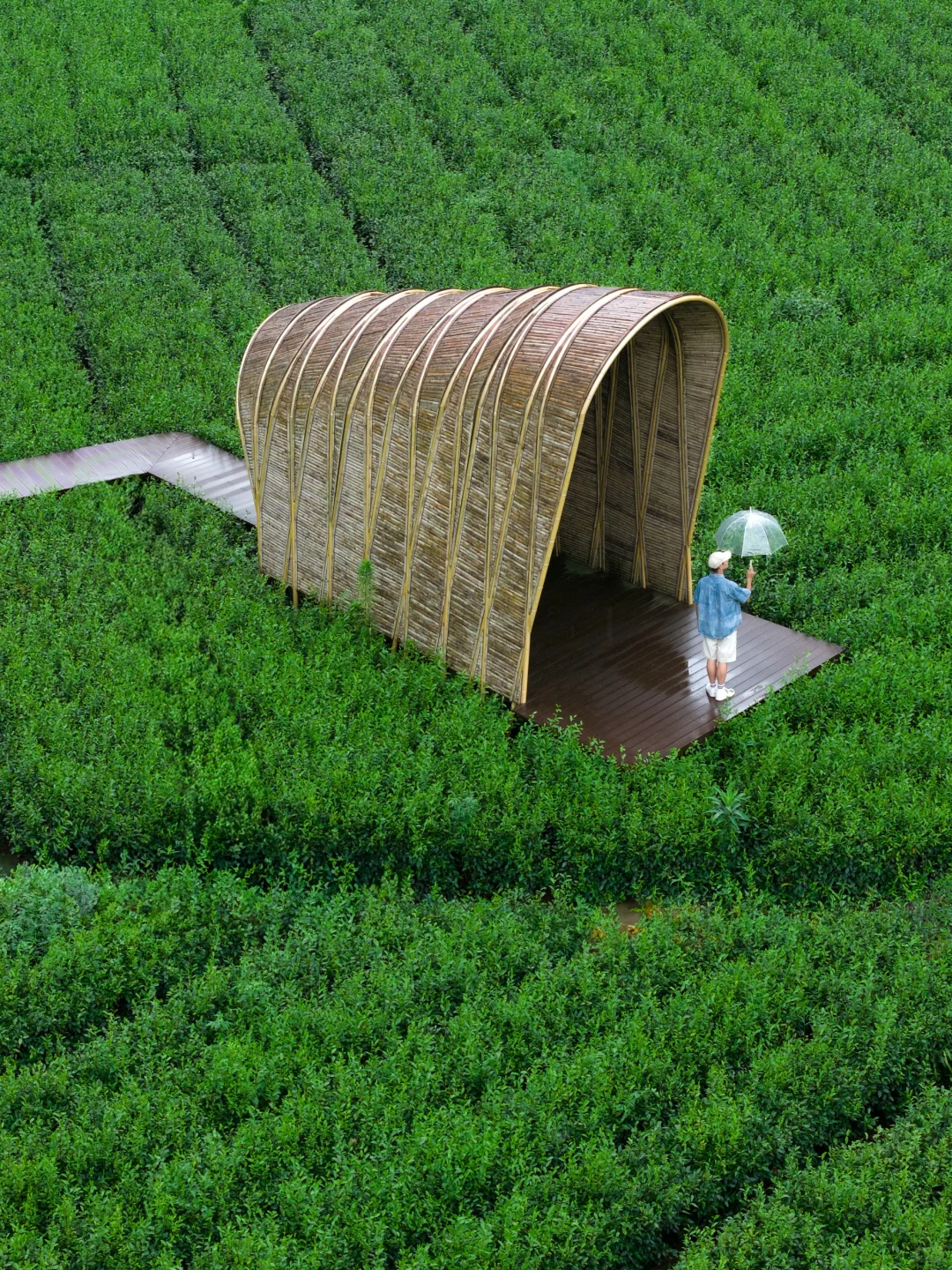 我宣布，这是我今年爬过最喜欢的山‼️