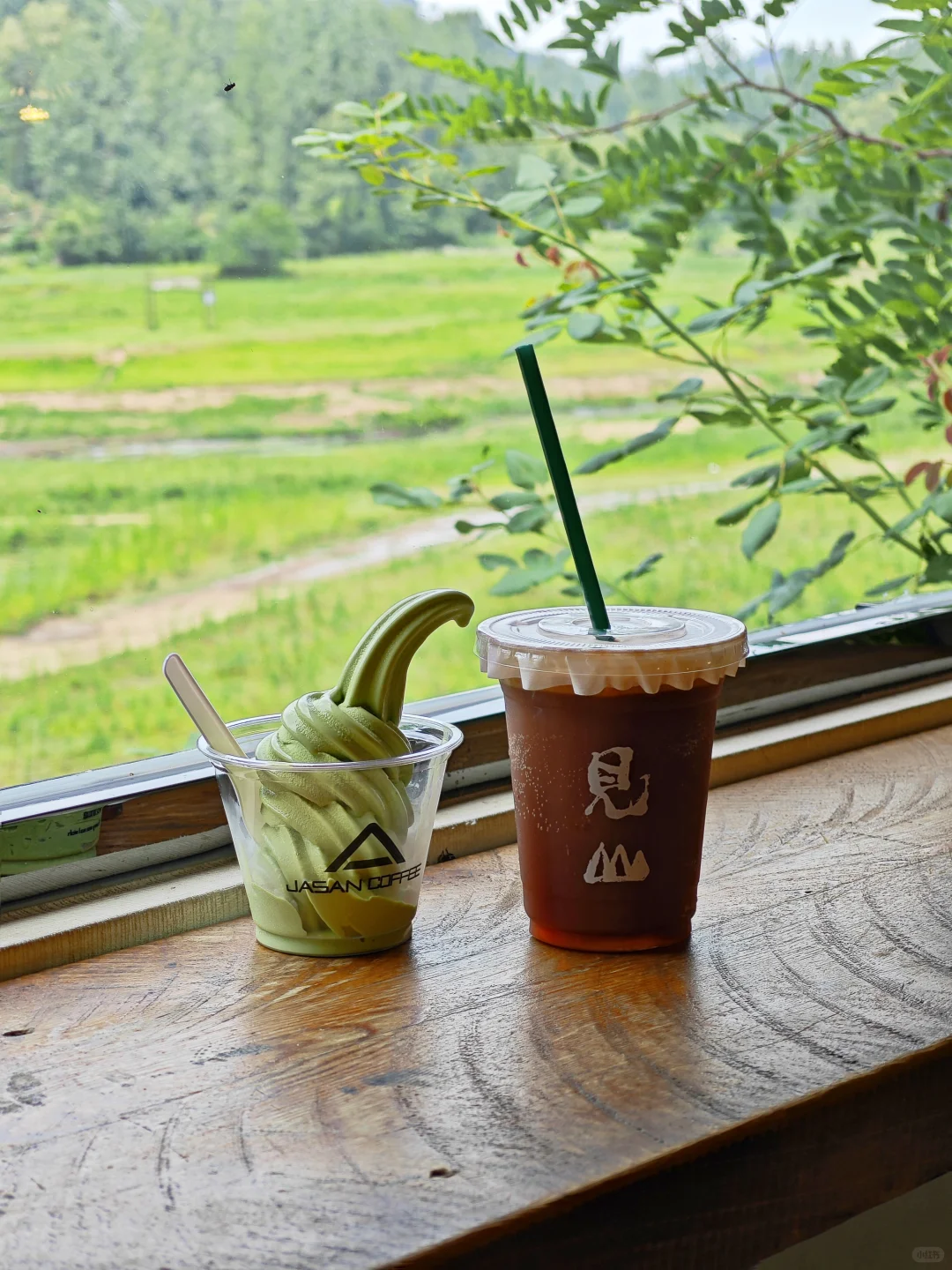 信阳📍🌳一个巨大的绿色能量场（含攻略