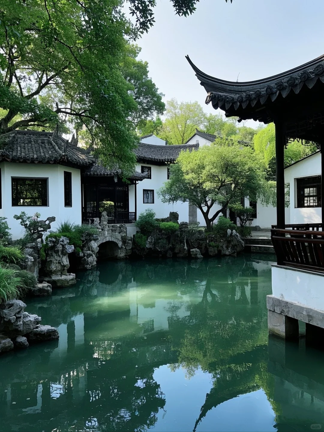 🌳走进狮子林，探江南园林之妙