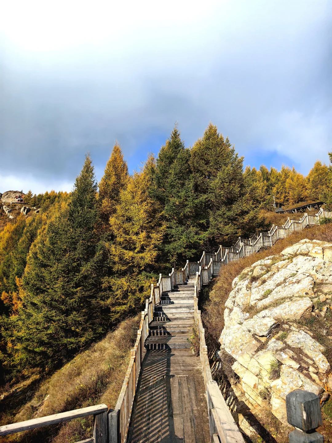 📍乌兰察布·苏木山森林公园