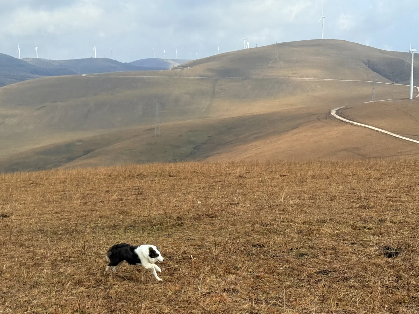 🍂 环京秋日自驾天花板！去奔赴一场秋景