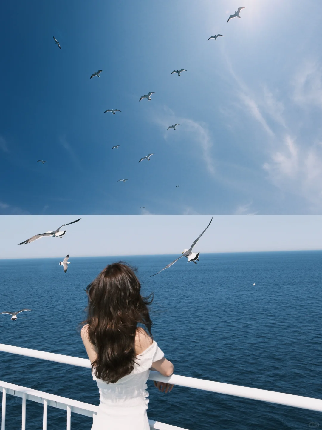 想出这条旅游线的人简直是天才！！