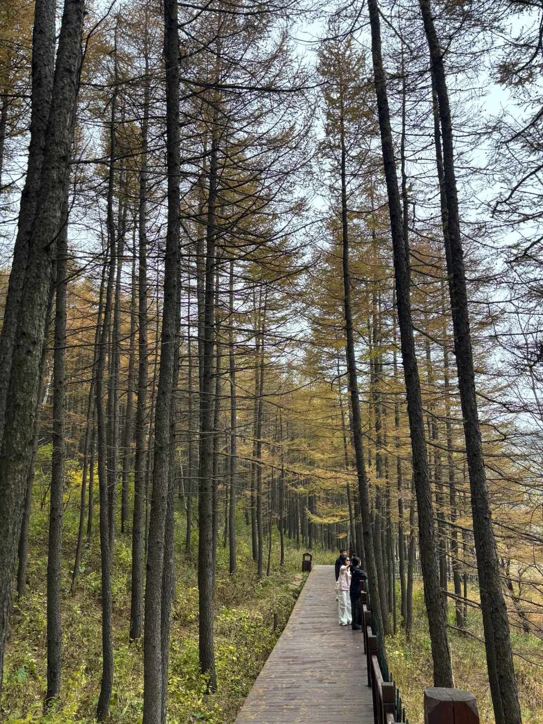 石家庄大学生驼梁一日游（附攻略