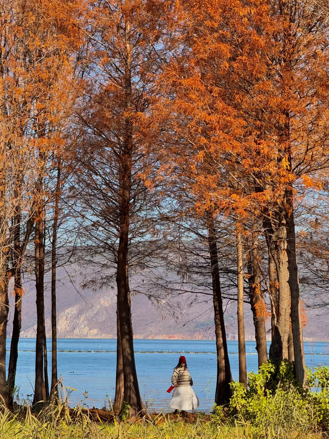大理的秋天🍂每一帧都是人生Live呀！！！！