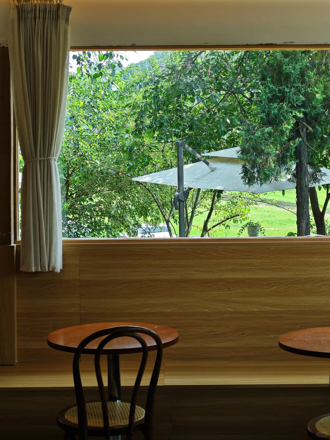 信阳📍🌳一个巨大的绿色能量场（含攻略