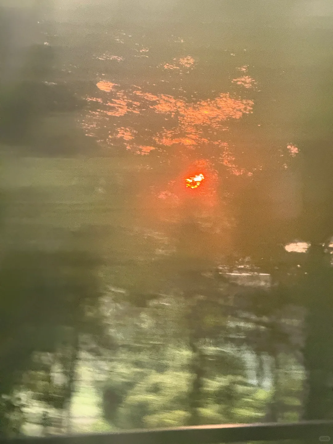 🌟 普陀山：一个人的朝圣之旅