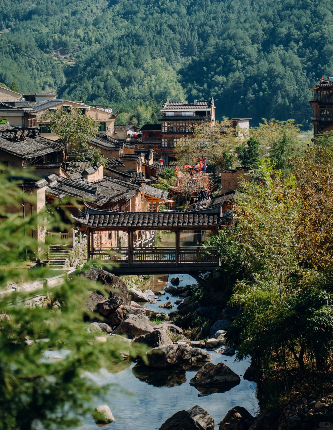 “接下来的屏南,堪称福建中式秋景天花板”