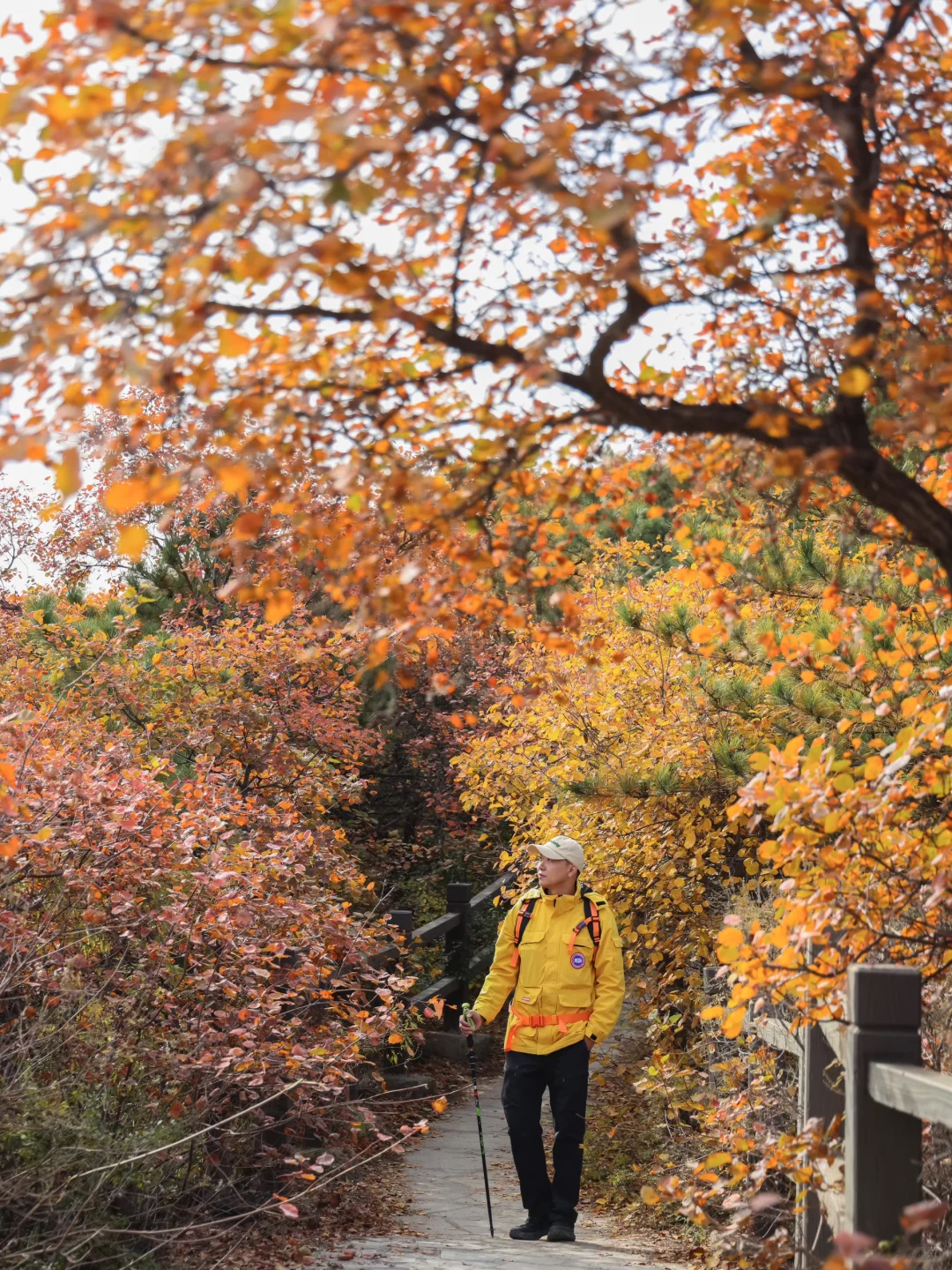 发朋友圈被问爆的绝美红叶谷🍁附地图