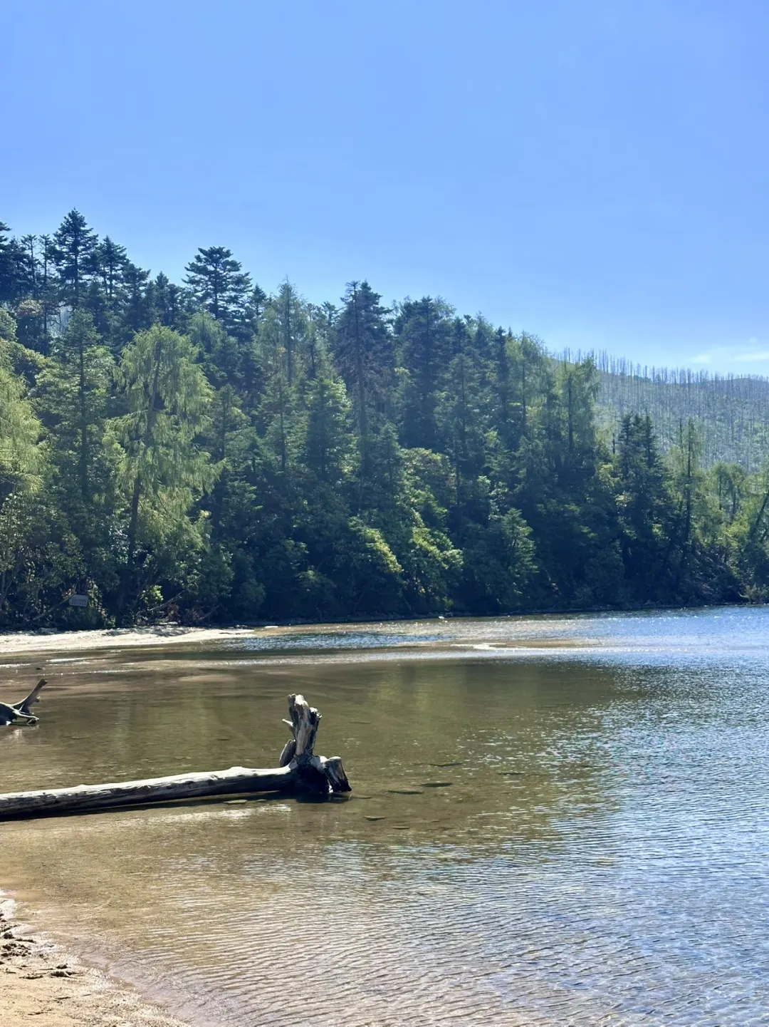 📍8.14川西崩溃，真心建议后面来的…