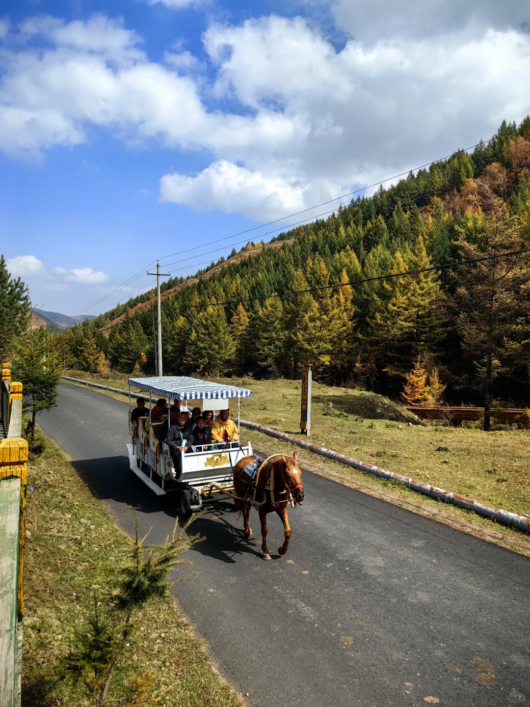 📍乌兰察布·苏木山森林公园