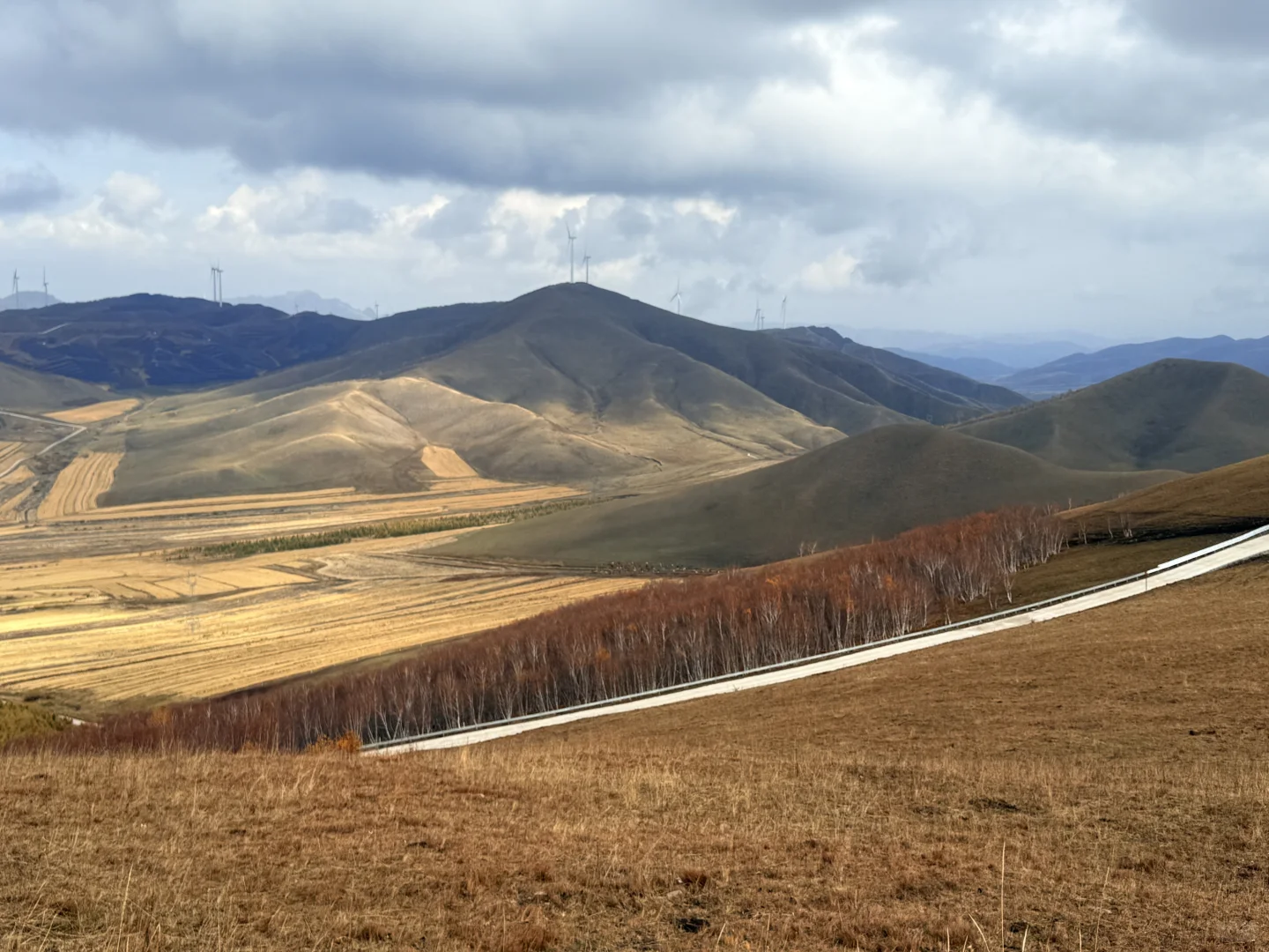 🍂 环京秋日自驾天花板！去奔赴一场秋景