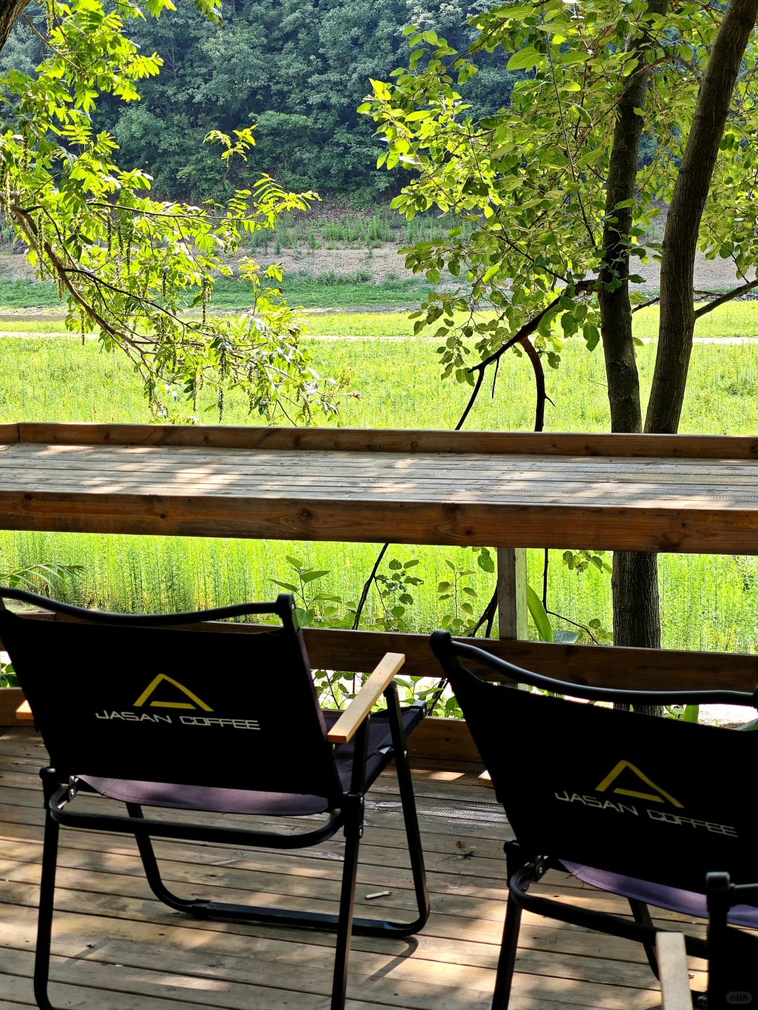 信阳📍🌳一个巨大的绿色能量场（含攻略