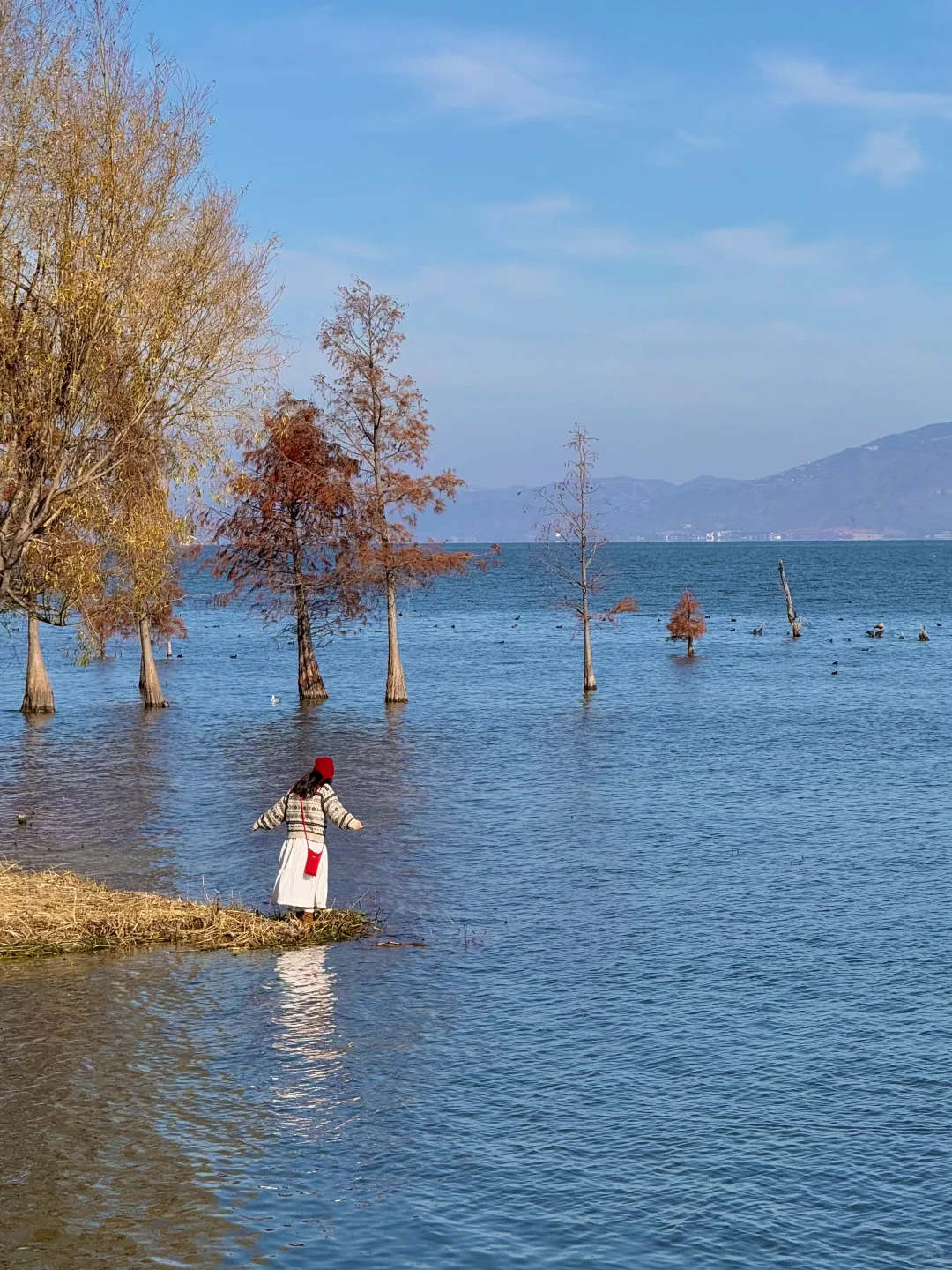 大理的秋天🍂每一帧都是人生Live呀！！！！