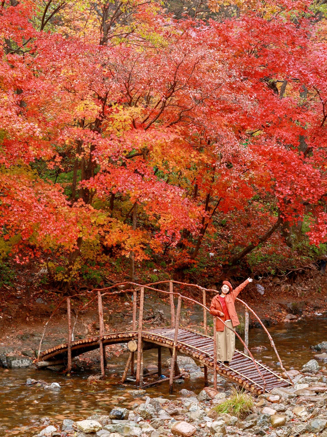 接下来的本溪，将是国内赏秋🍁最佳旅行地！！