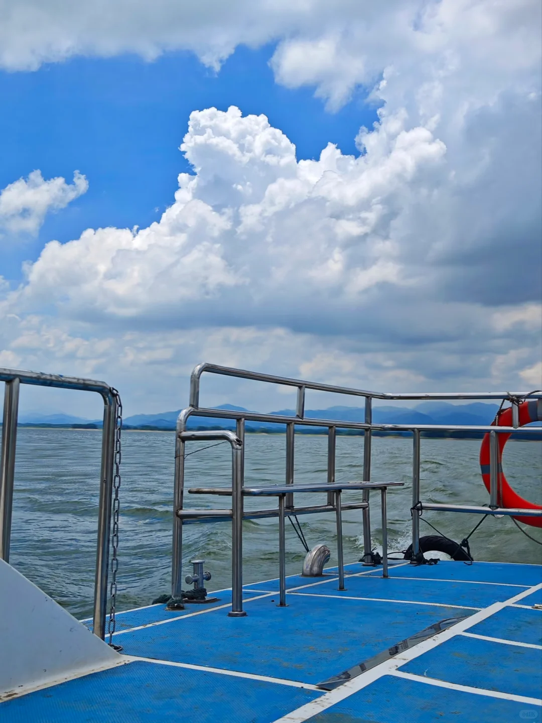 信阳📍🌳一个巨大的绿色能量场（含攻略