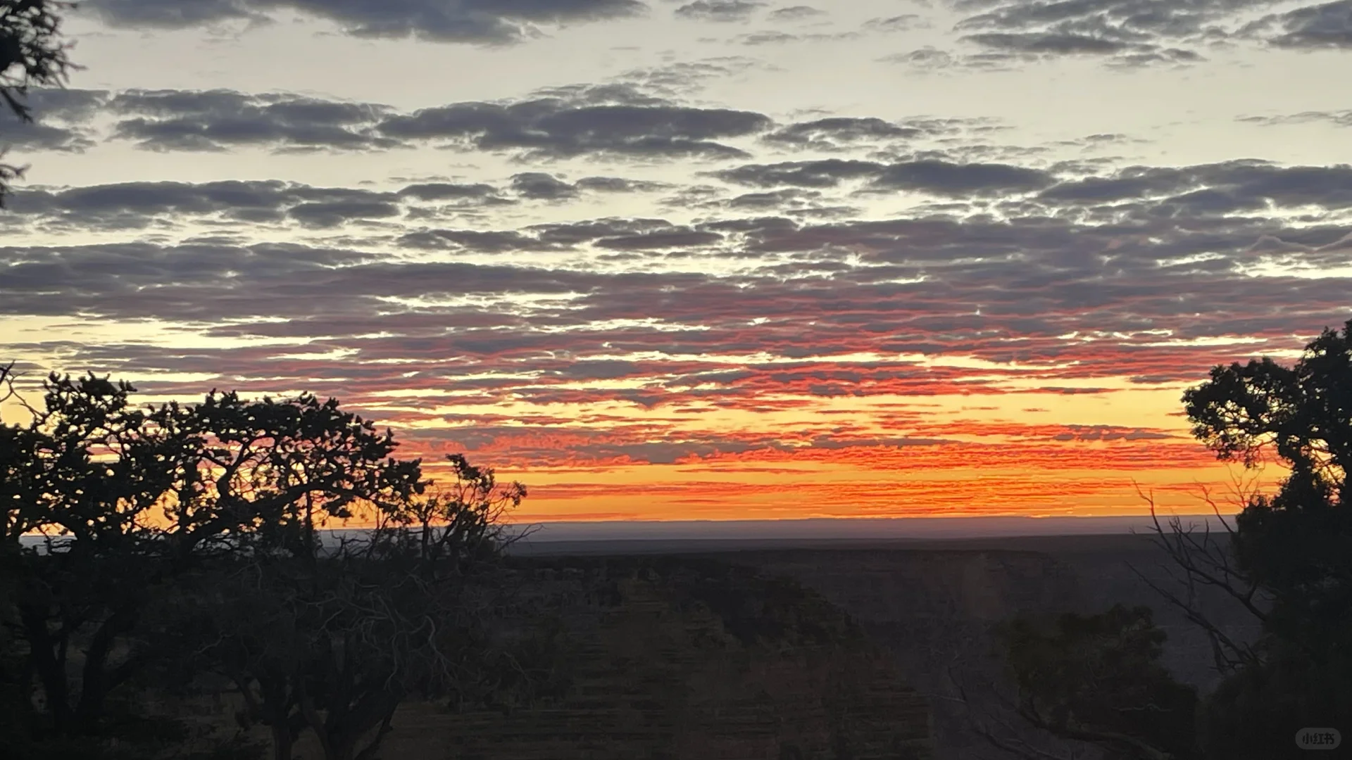 美国旅游和国内旅游的不同感受
