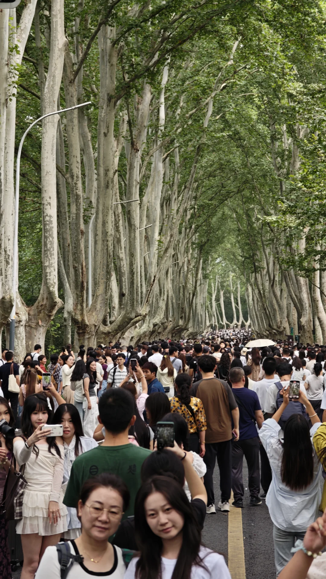 2025.10.1中午11点45，梧桐大道