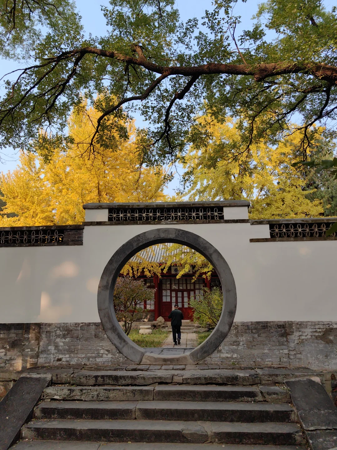 跟风成功！北京赏秋打卡地详细路线