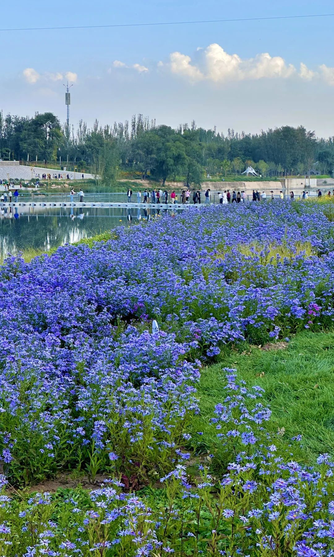 ⛰️太原老龙头景区开放啦！美景全屏图直击！