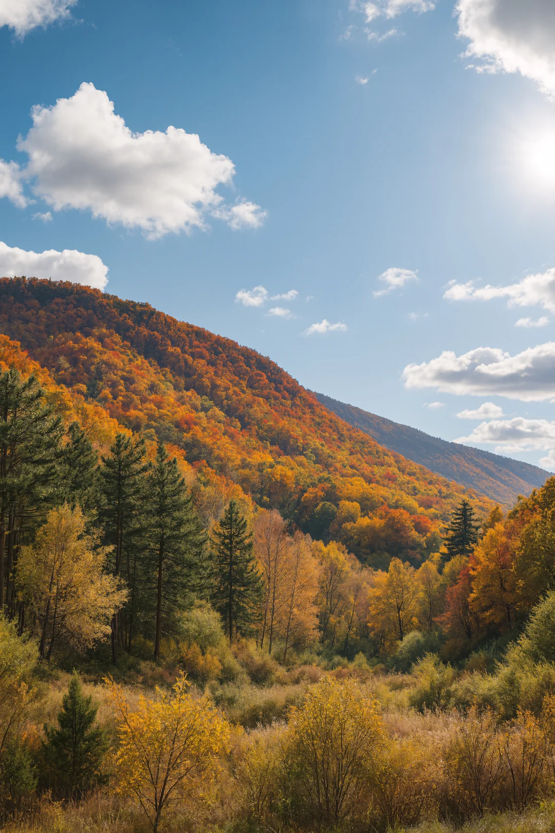 比草原还惊艳！五道沟的秋色太浪漫了