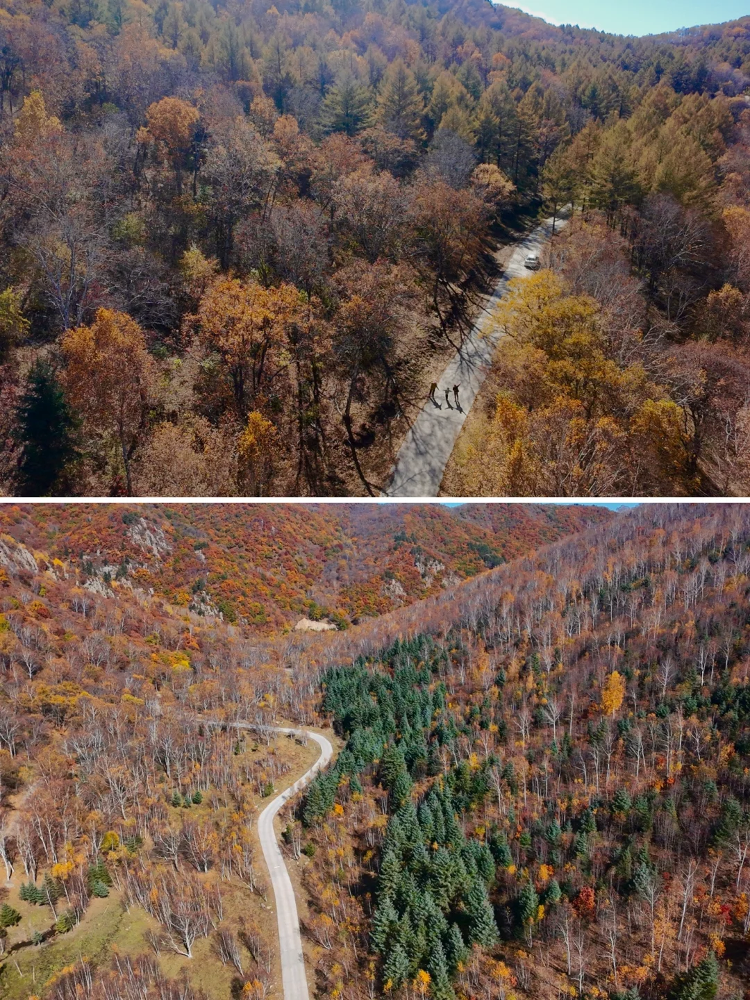 国庆赏秋10.2 | 免费人少，自驾五道沟景区