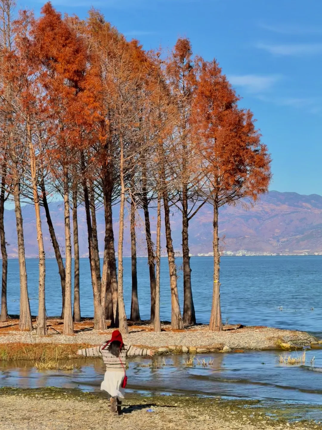 大理的秋天🍂每一帧都是人生Live呀！！！！