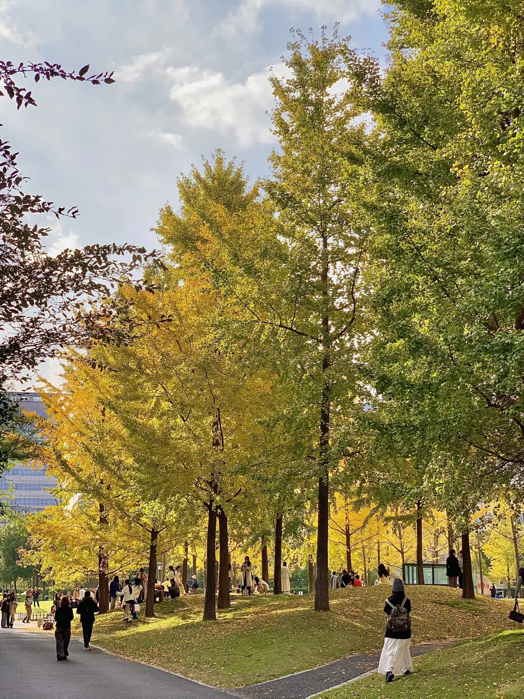 接下来的杭州…堪称秋日旅行天花板！（live版