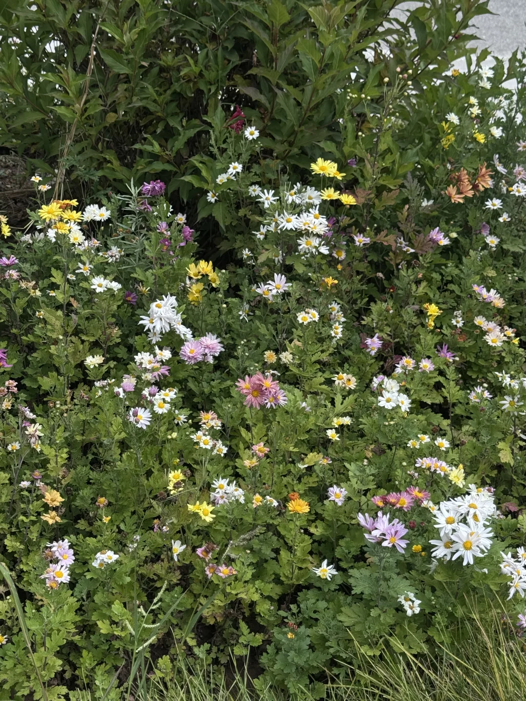 Plog：）天津周边｜国庆逃离城市计划⛰️