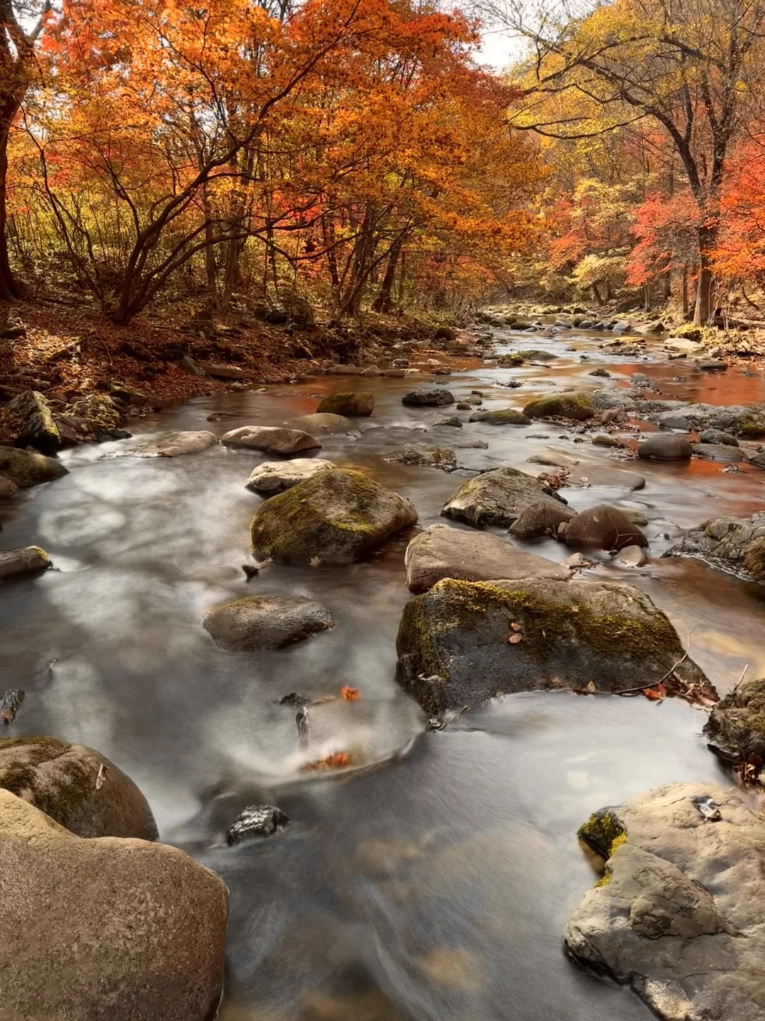 接下来的本溪，将是国内赏秋🍁最佳旅行地！！