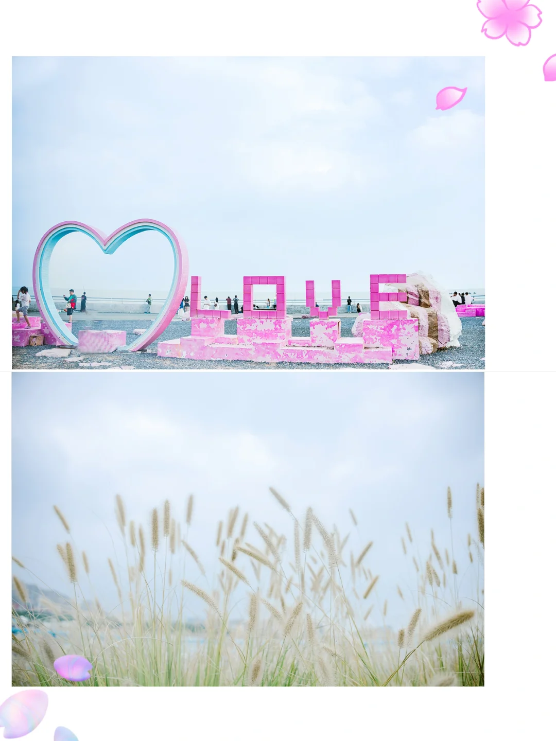 青岛亲子游天花板| 海之恋+小麦岛旅游攻略