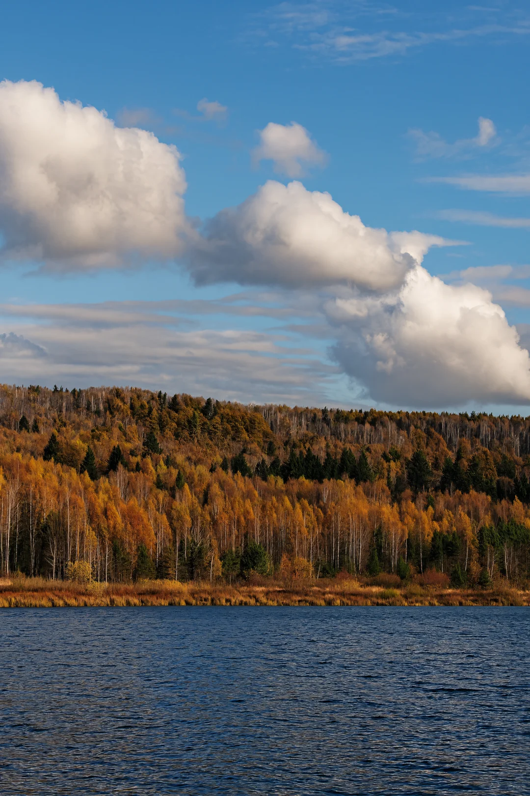 北纬47°的秋天，美成一幅油画！