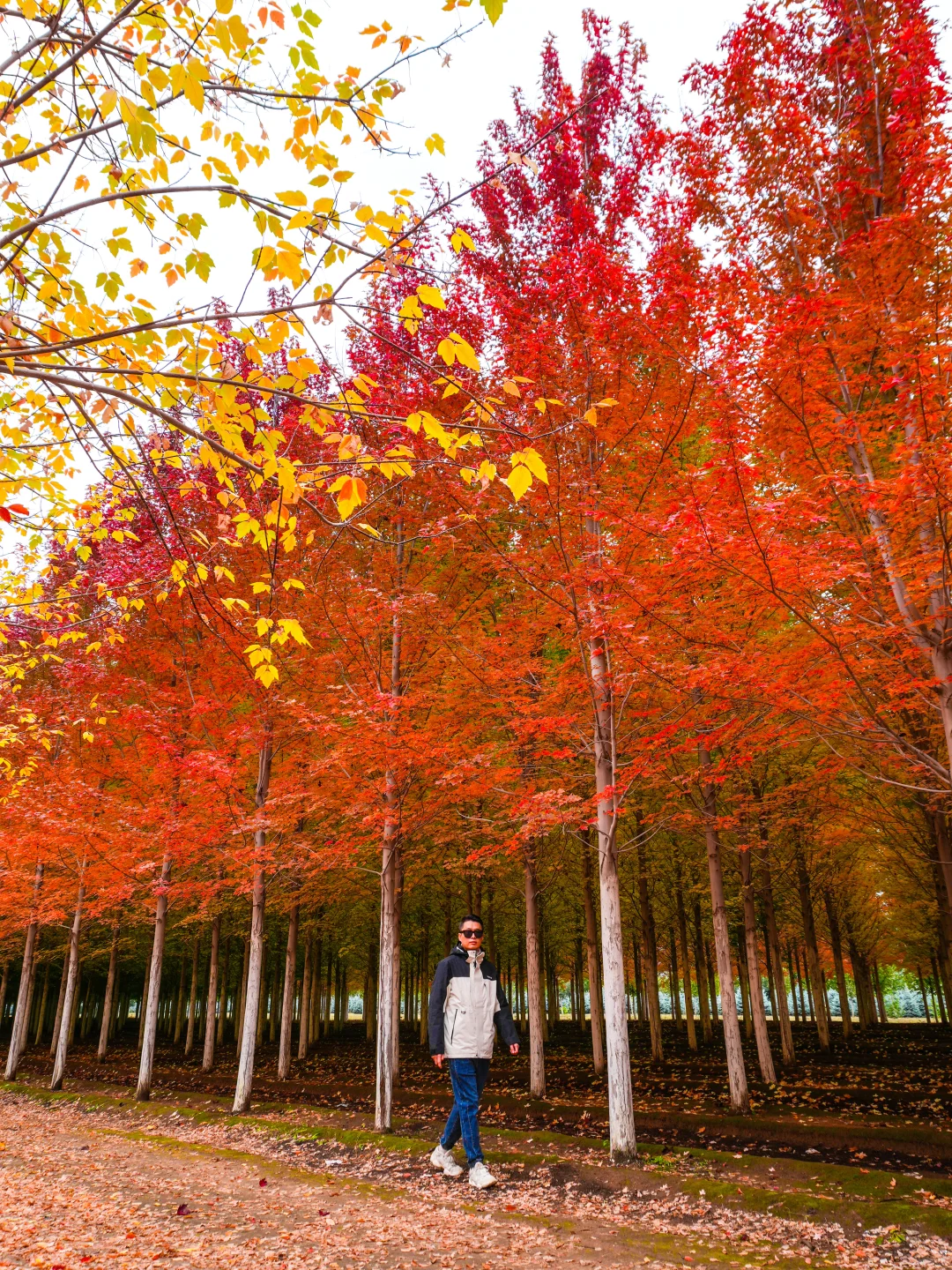 10.12实况,京郊2h🚗秋天必须去的宝藏秘境🍁