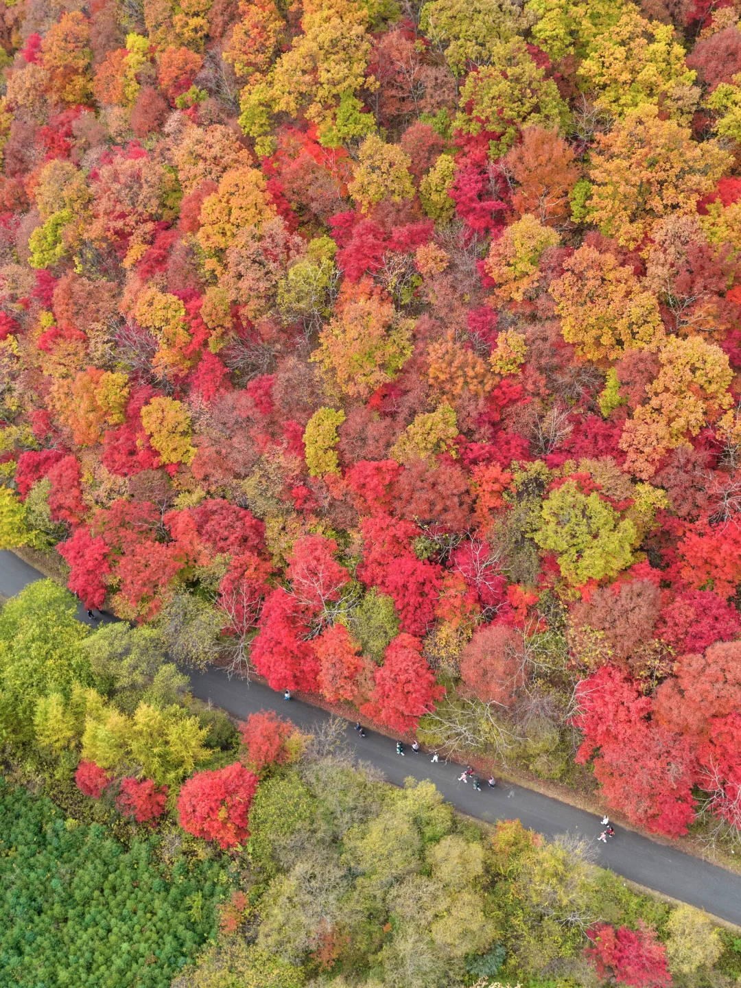 接下来的本溪，将是国内赏秋🍁最佳旅行地！！