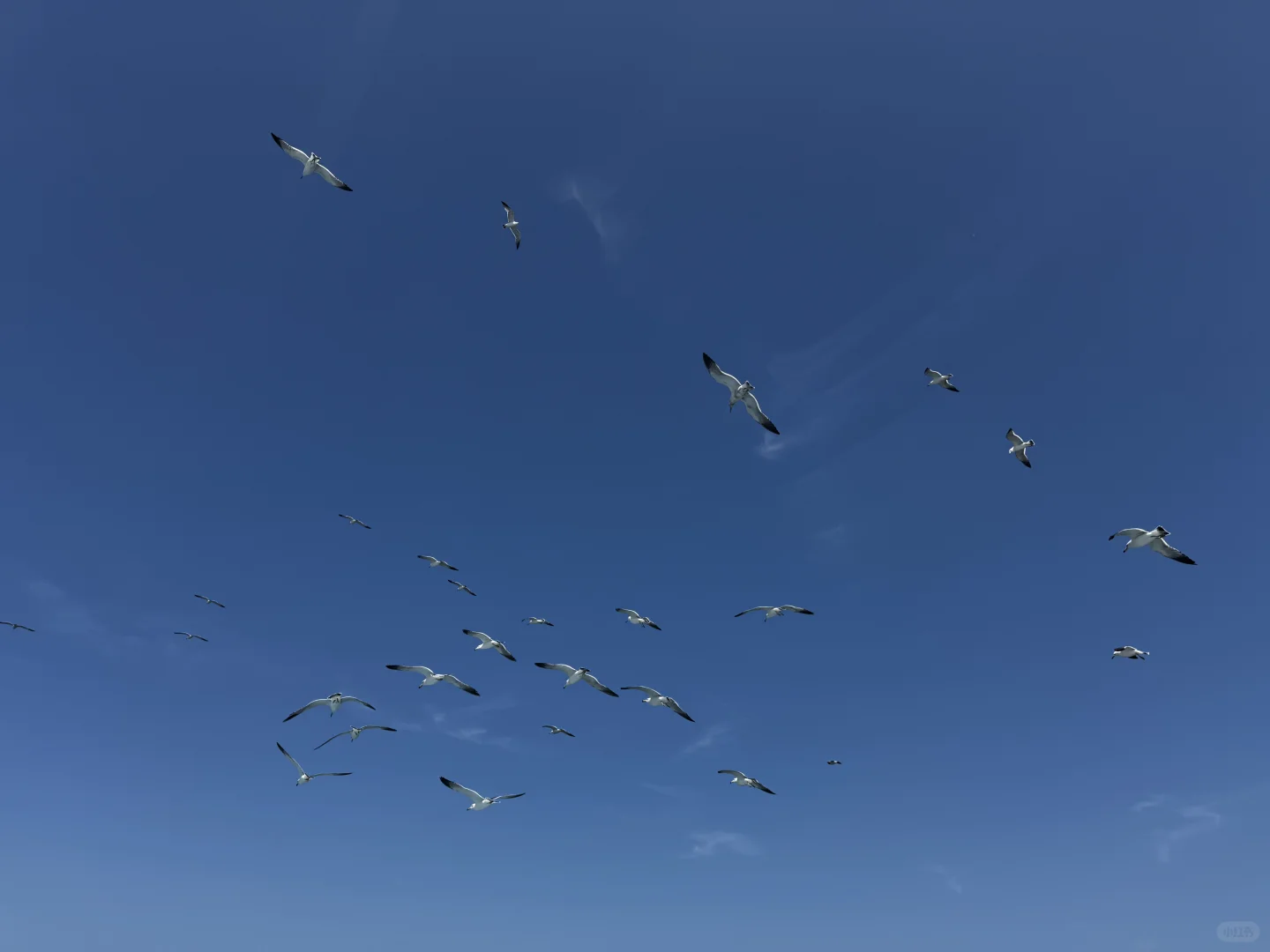 想出这条旅游线的人简直是天才！！