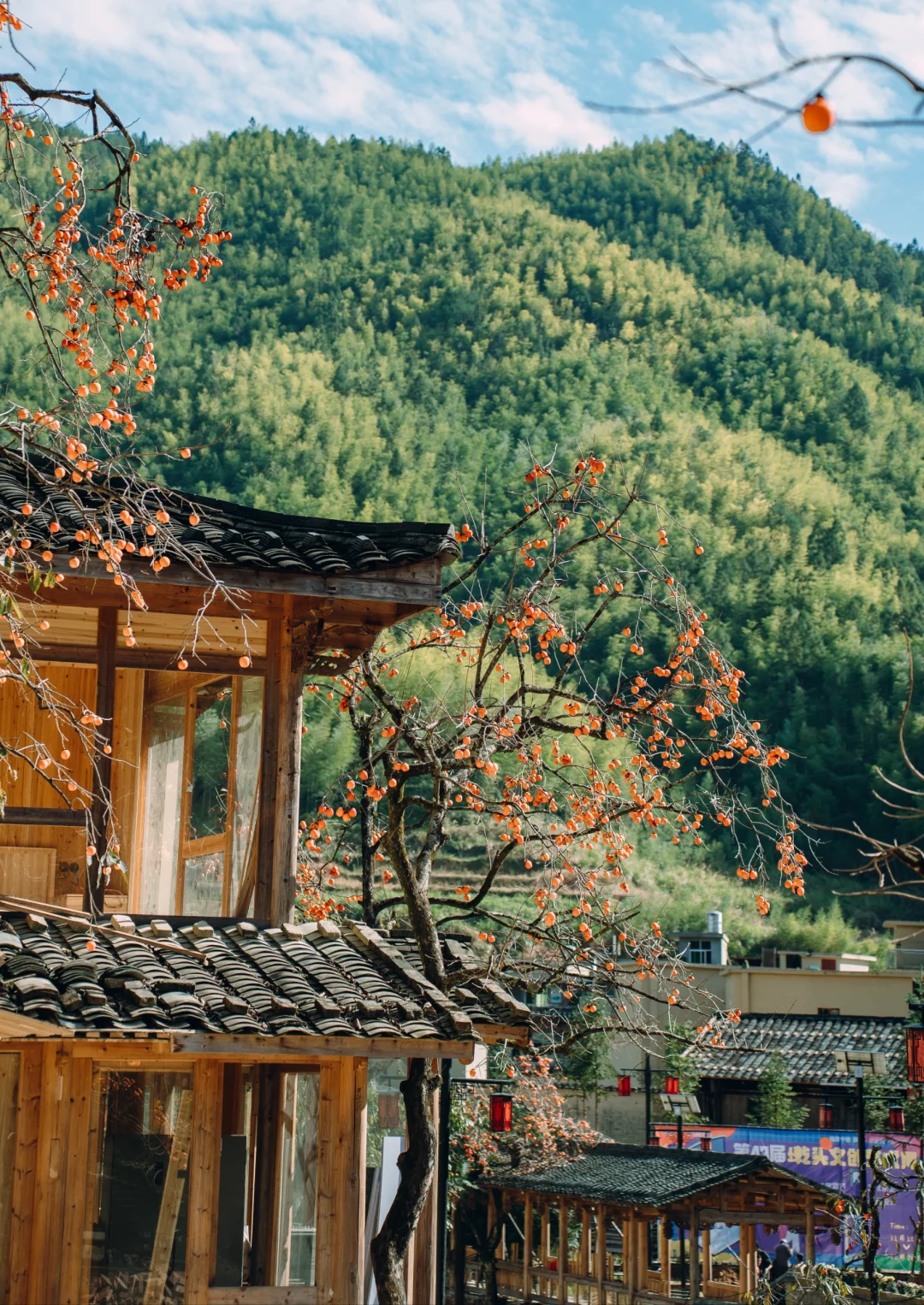 “接下来的屏南,堪称福建中式秋景天花板”