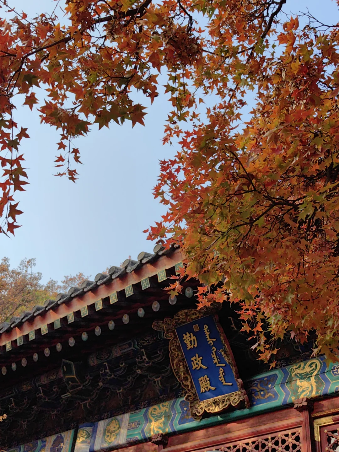 跟风成功！北京赏秋打卡地详细路线