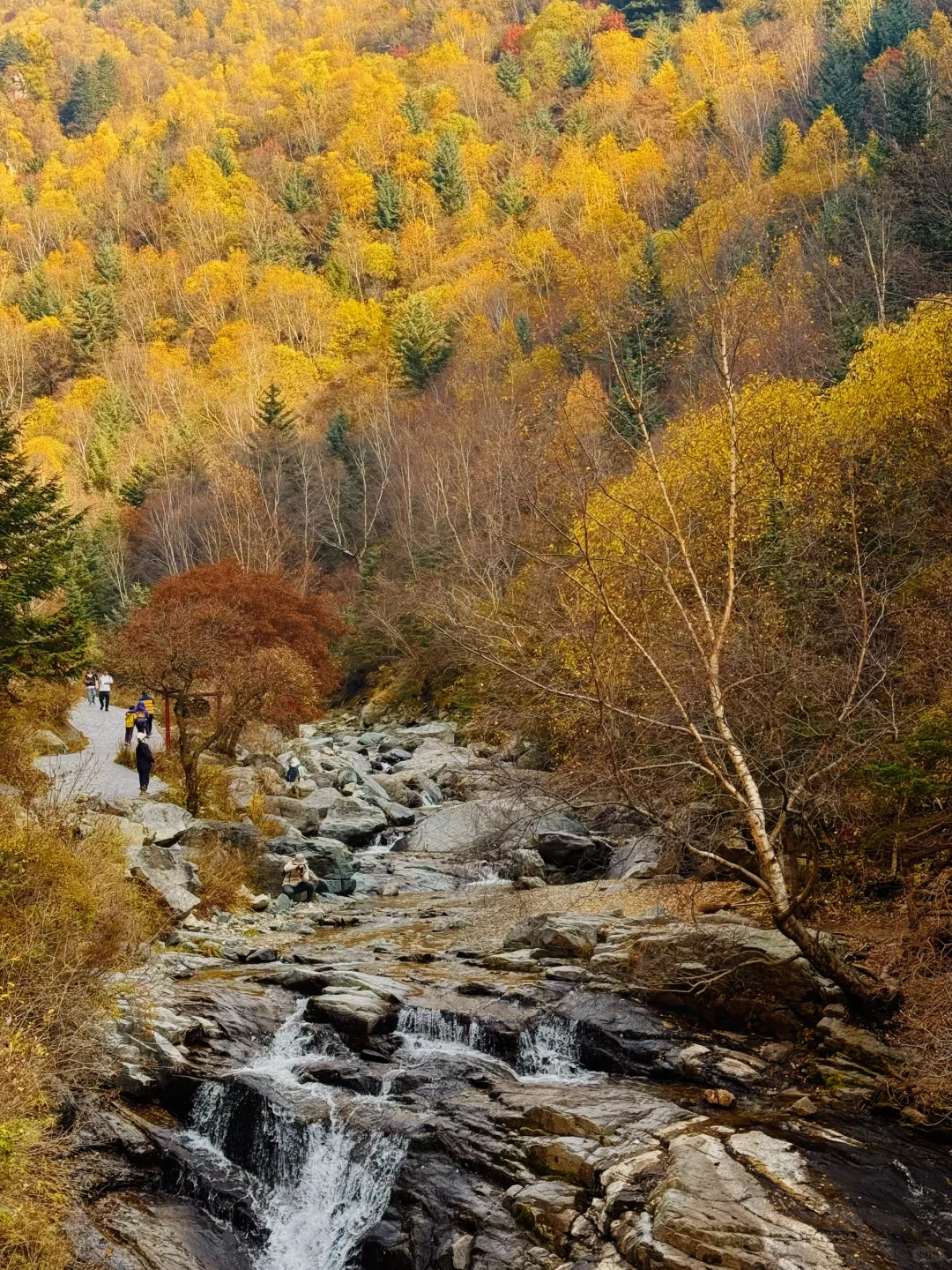 京津自驾4h｜辉川赏秋 人不多 叶子还在🍂