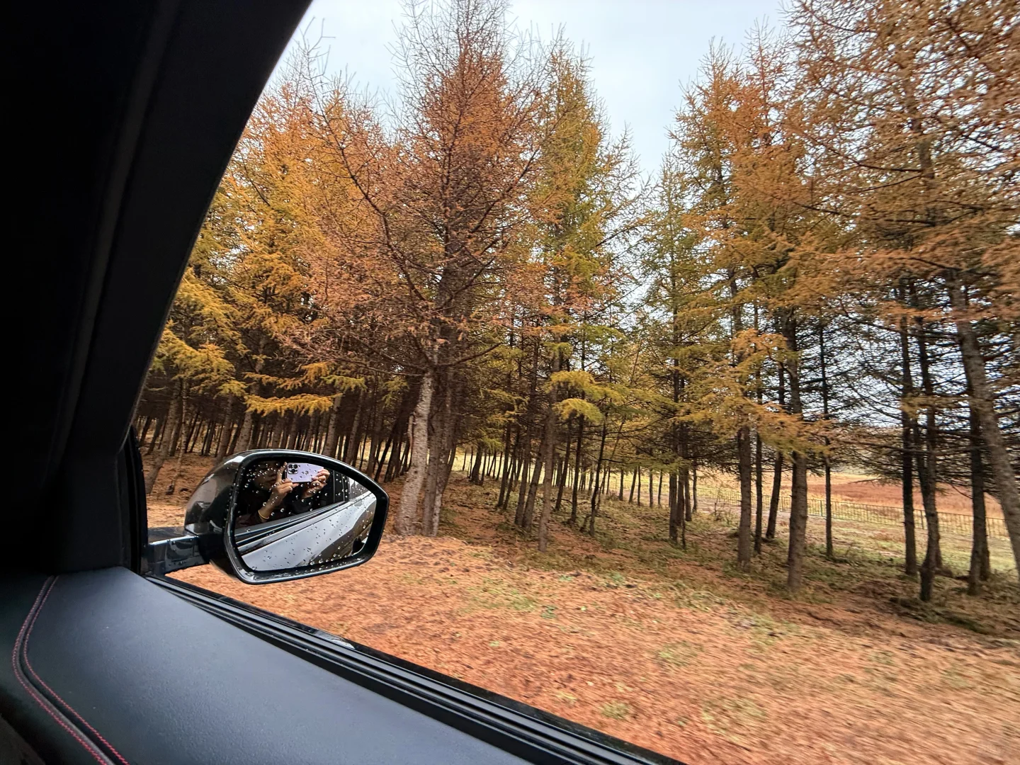 🍂 环京秋日自驾天花板！去奔赴一场秋景