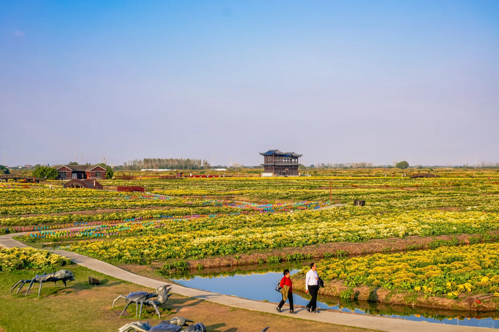江苏人民都收到通知了吗！！！！！