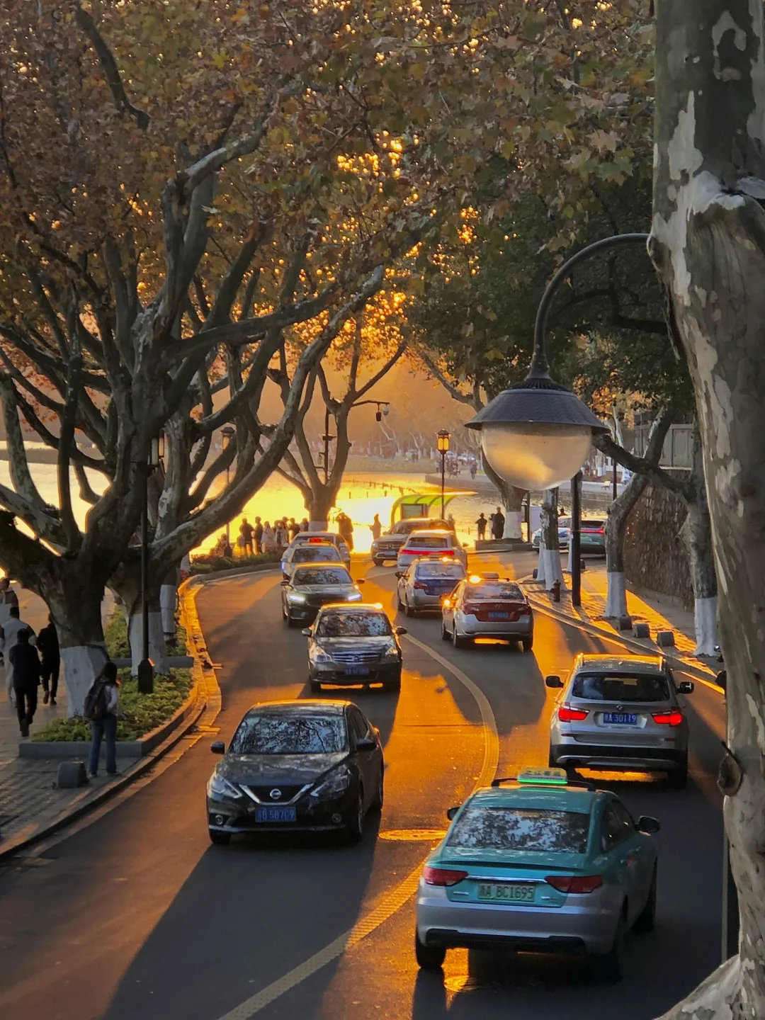 接下来的杭州…堪称秋日旅行天花板！（live版