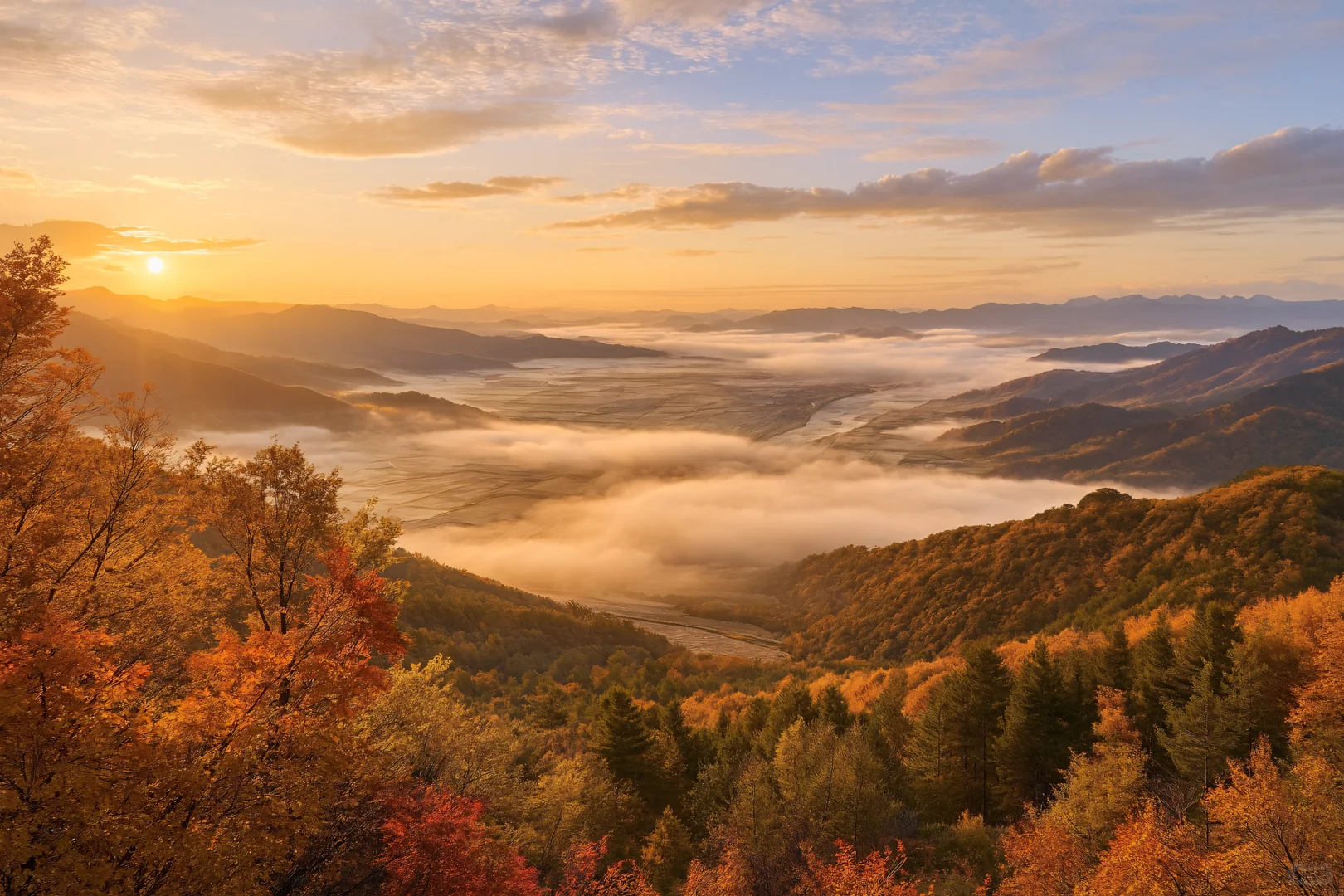 北纬47°的秋天，美成一幅油画！