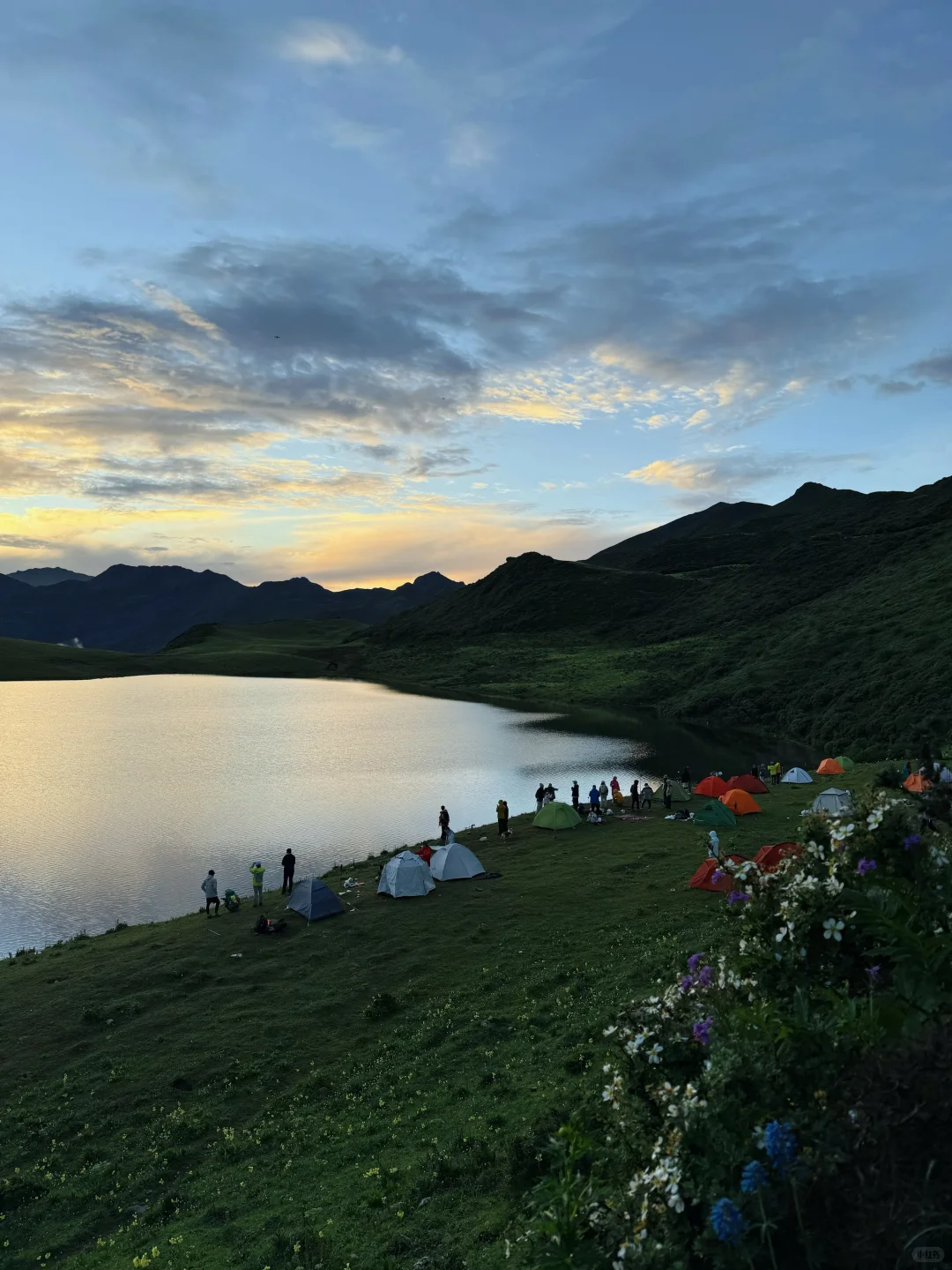 九顶山2天1夜！人均300+玩转云海花海！