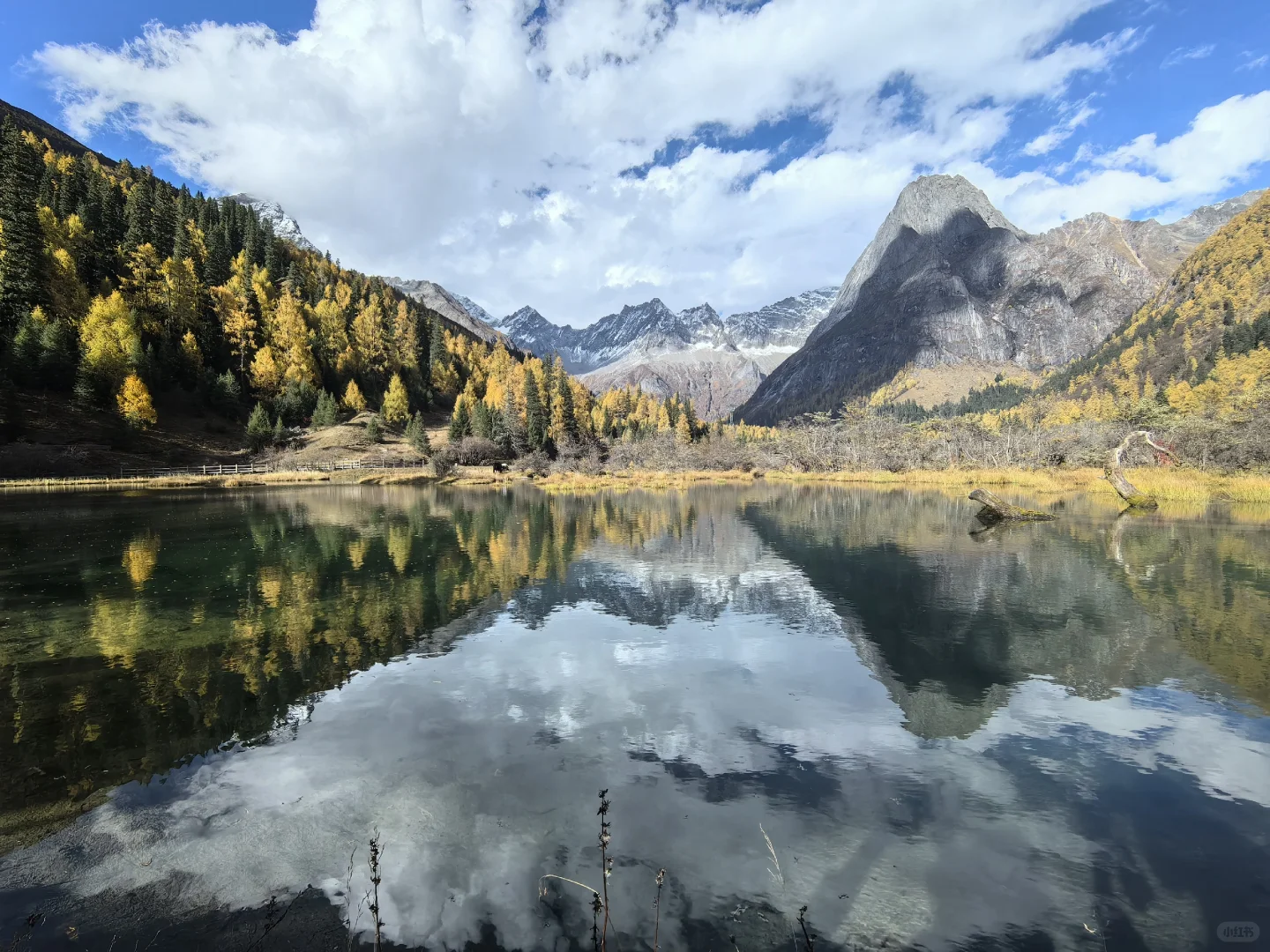 十月底都给我冲四姑娘山!
